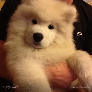 Фотография профиля