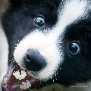 Фотография профиля