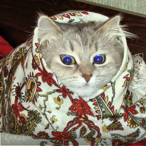 Фотография профиля