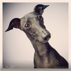 Фотография профиля