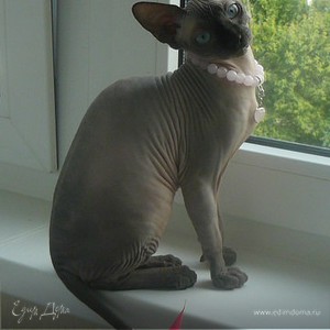 Фотография профиля