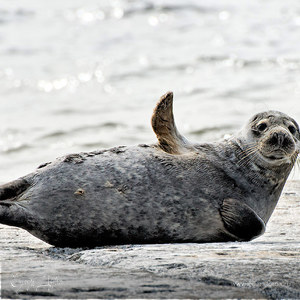 Фотография профиля