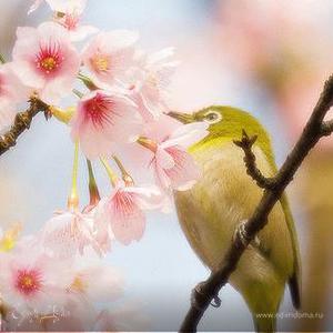 Фотография профиля