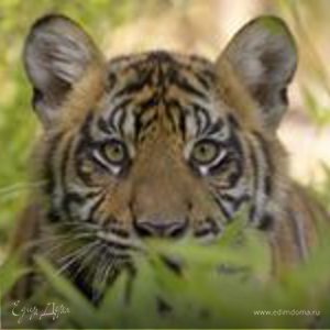 Фотография профиля