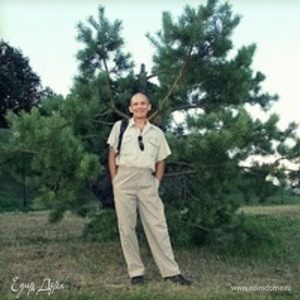 Фотография профиля