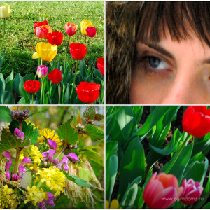 Фотография профиля