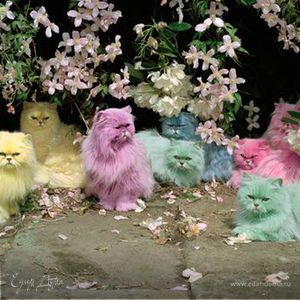 Фотография профиля