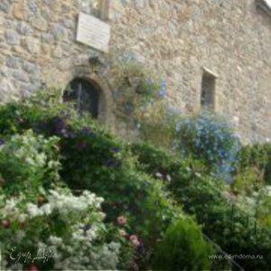 Фотография профиля