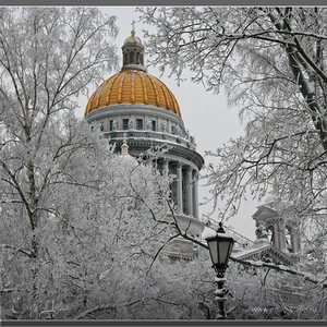 Фотография профиля