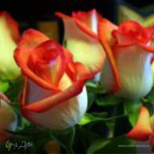 Фотография профиля