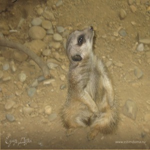 Фотография профиля