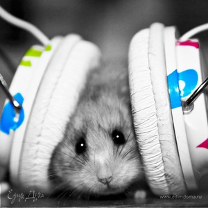 Фотография профиля