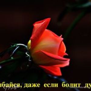 Фотография профиля