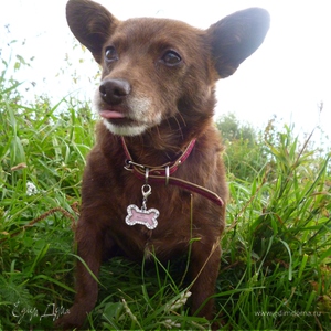 Фотография профиля