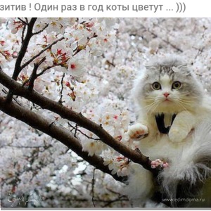 Фотография профиля