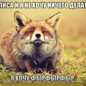 Фотография профиля