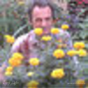 Фотография профиля