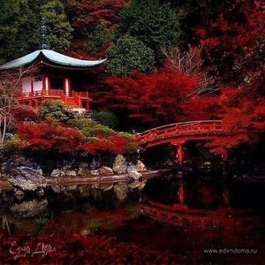 Фотография профиля