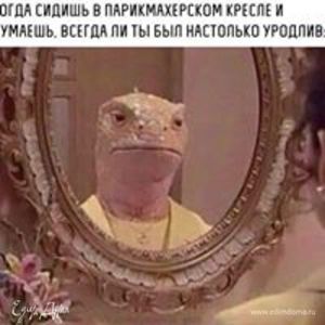 Фотография профиля