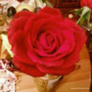 Фотография профиля