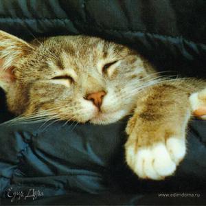 Фотография профиля