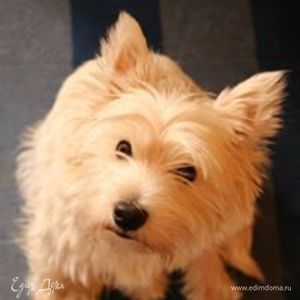 Фотография профиля