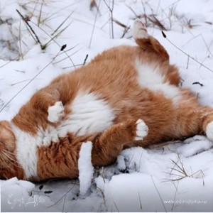 Фотография профиля