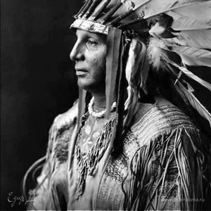 Фотография профиля