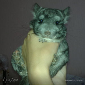 Фотография профиля