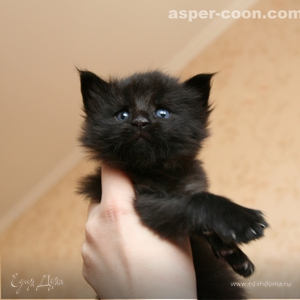 Фотография профиля