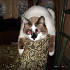 Фотография профиля