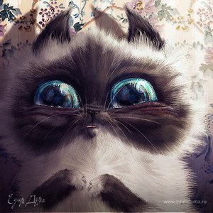 Фотография профиля