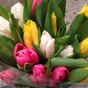 Фотография профиля