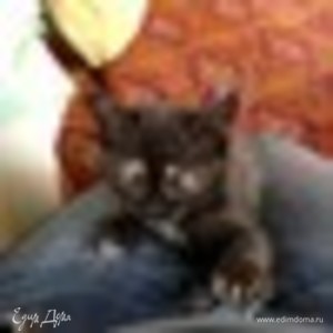 Фотография профиля