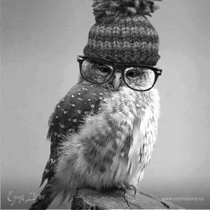 Фотография профиля