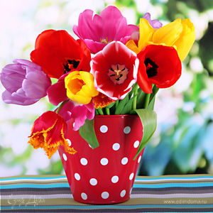 Фотография профиля