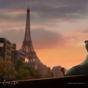 Фотография профиля