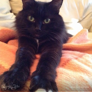 Фотография профиля