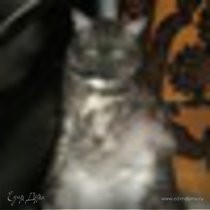 Фотография профиля