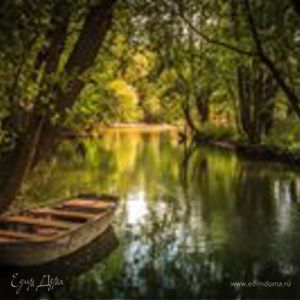 Фотография профиля