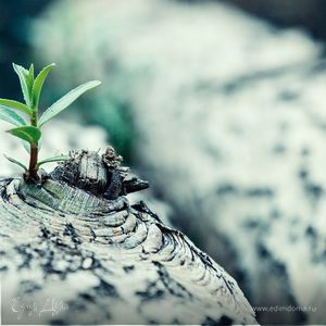 Фотография профиля