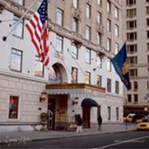 Фотография профиля