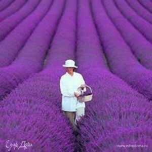 Фотография профиля