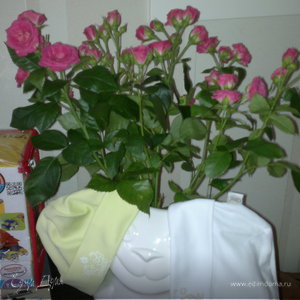 Фотография профиля