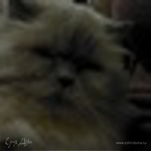 Фотография профиля