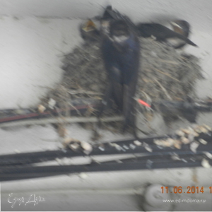 Фотография профиля