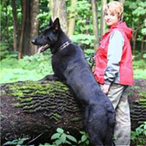 Фотография профиля