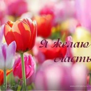 Фотография профиля