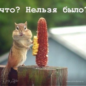 Фотография профиля