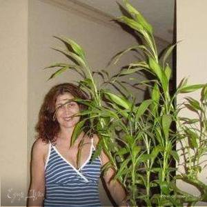 Фотография профиля